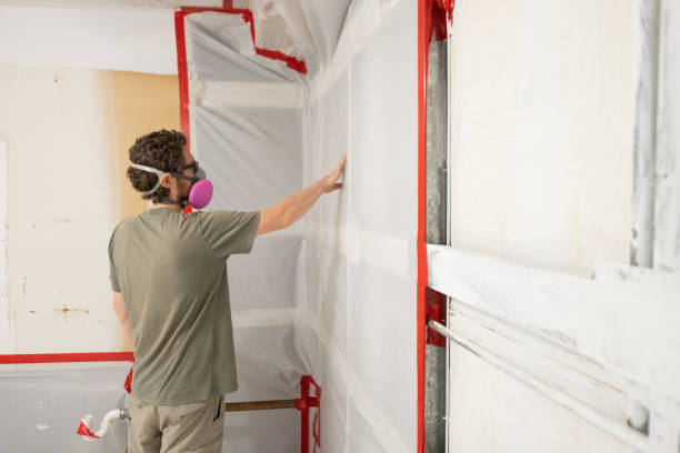 Best Mold Prevention Services  in Catasauqua, PA